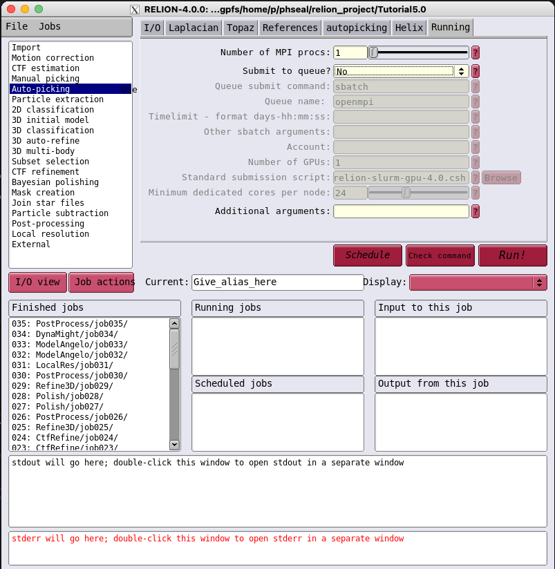 RELION Autopicking Running tab - using interactive resource