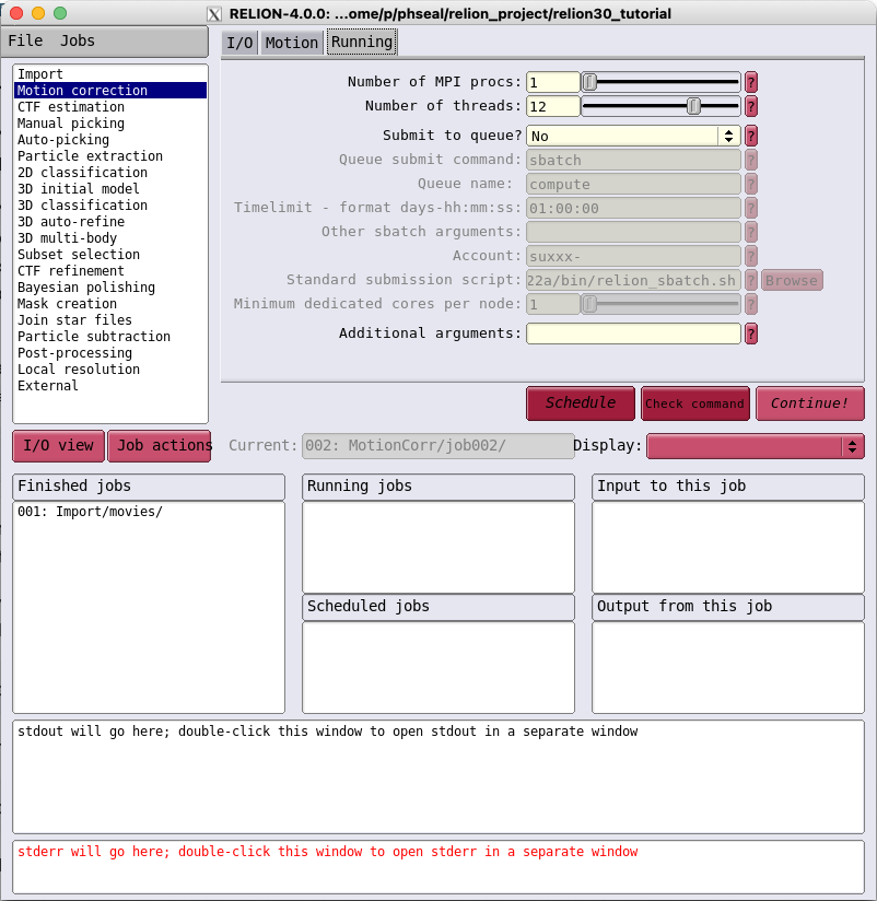 RELION Running tab - using interactive resource