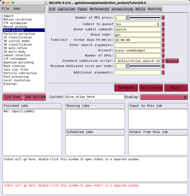 RELION Running tab - using batch job