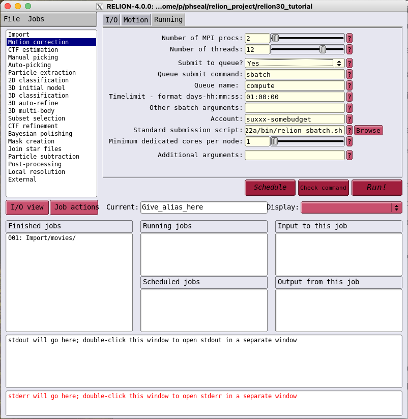 RELION Running tab - using batch job